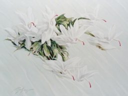 Celestial Flowers II 60x80 cm